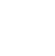 Logo Icon