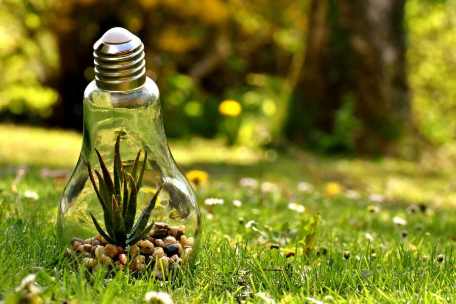 How Does Conserving Energy Help the Environment? Expert Insight