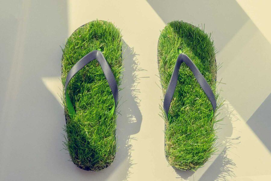 How to Reduce Your Carbon Footprint: 10 Simple Tips
