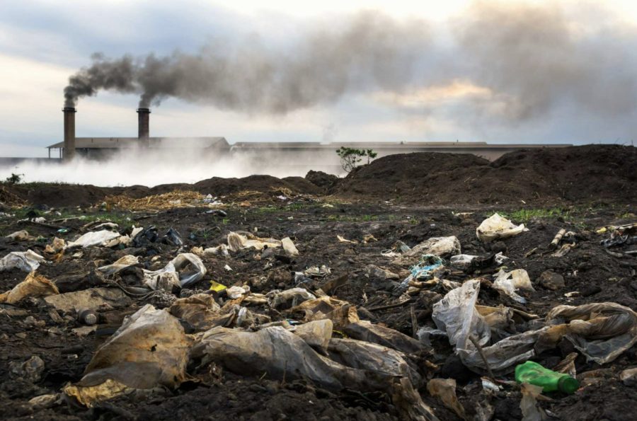 7 Reasons Why Plastic Bags Are So Bad for the Environment
