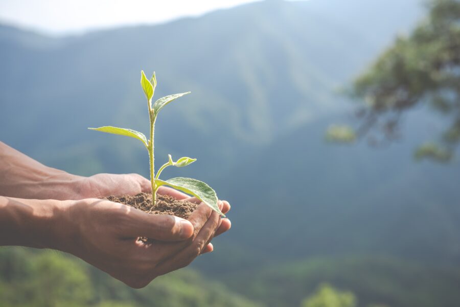 10 Effective Strategies to Reduce Greenhouse Gas Emissions at Home: Building a Sustainable Future, One Action at a Time