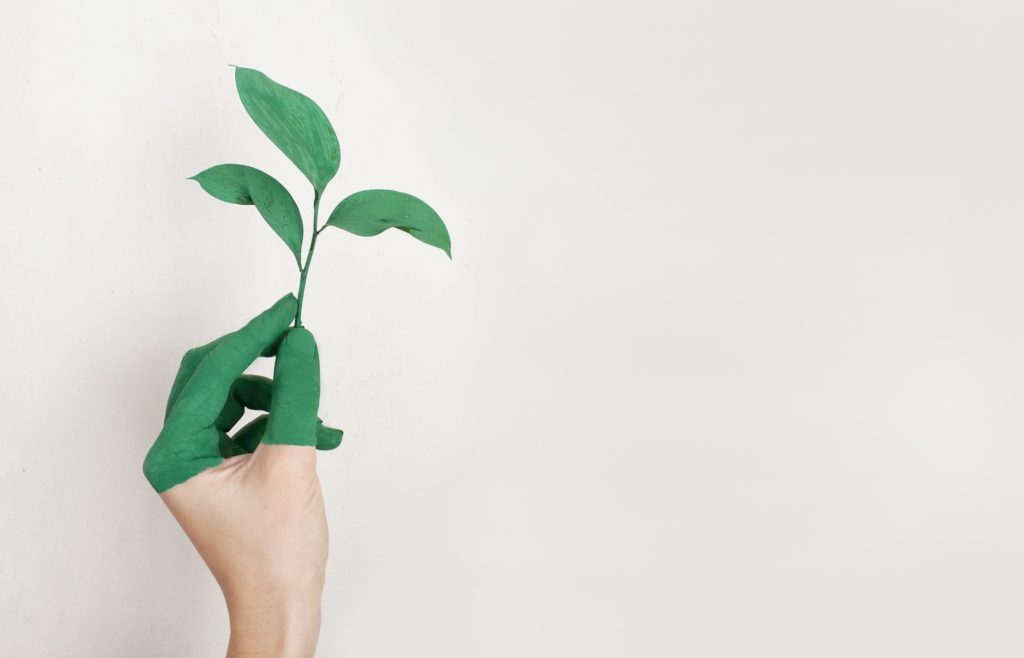 Green leaf coming out of a hand painted green