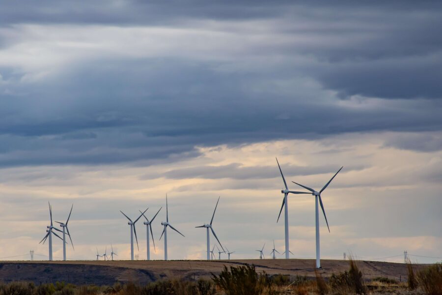 The Environmental Benefits of Solar in Texas