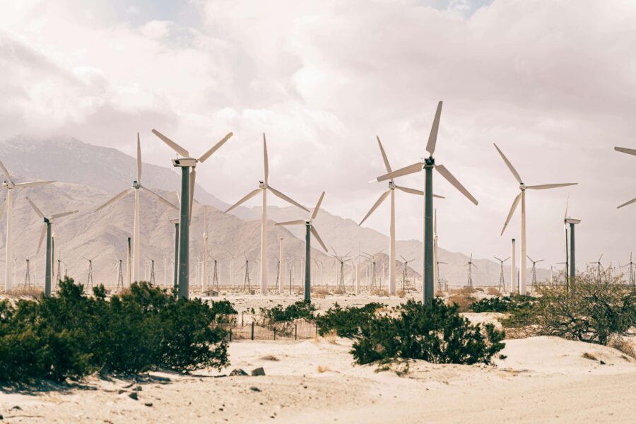 Driving the Future: The Growing Adoption of Renewable Energy