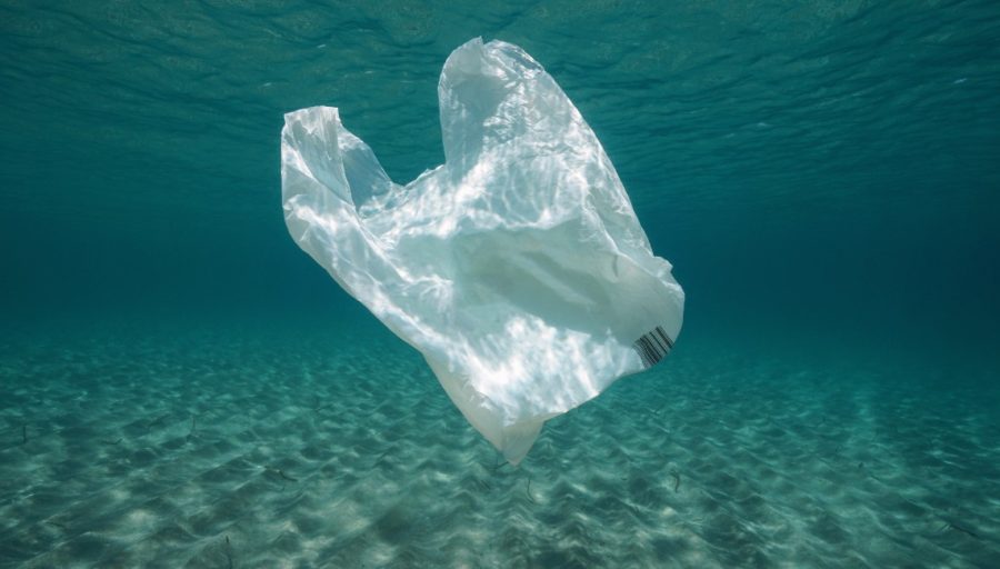 How Long Does It Take for Plastic to Decompose?